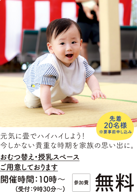 ハイハイレース 詳細