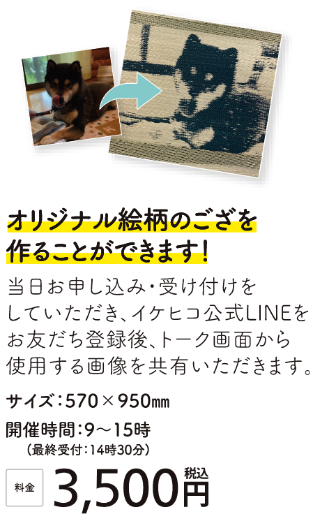 オリジナルござ作成 詳細